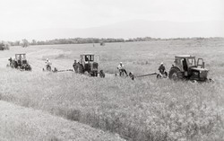 Эти сенокосные луга уже не наши (нажмите, чтобы увеличить)