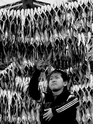 Вяленая рыба (нажмите, чтобы увеличить)