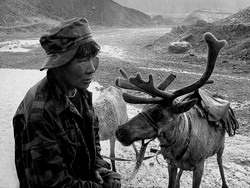 Оленевод (нажмите, чтобы увеличить)