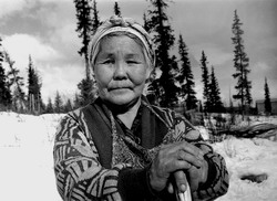 Пастушка-эвенкийская (нажмите, чтобы увеличить)