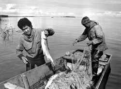 Рыбаки (нажмите, чтобы увеличить)