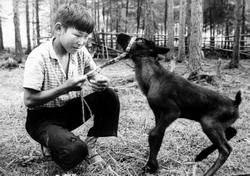 Сигалетки (нажмите, чтобы увеличить)