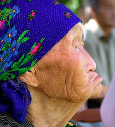 Старейшина (нажмите, чтобы увеличить)