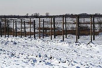 Земля за колючей проволокой на Большом Уссурийском дорого обойдется Минфину РФ| Фото: Евгений Переверзев/Коммерсантъ