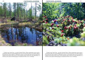 Нажмите, чтобы увеличить