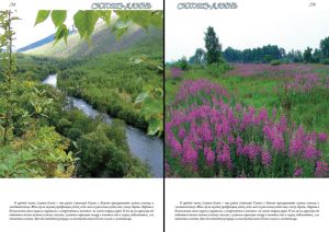 Нажмите, чтобы увеличить