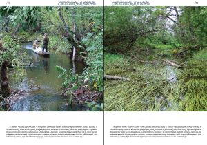 Нажмите, чтобы увеличить