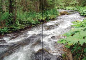 Нажмите, чтобы увеличить