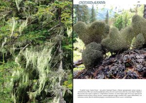 Нажмите, чтобы увеличить