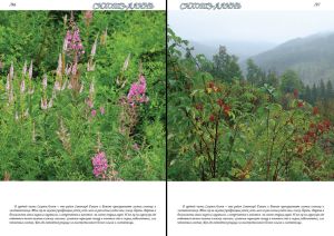 Нажмите, чтобы увеличить