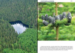 Нажмите, чтобы увеличить