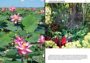 Нажмите, чтобы увеличить