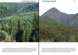 Нажмите, чтобы увеличить