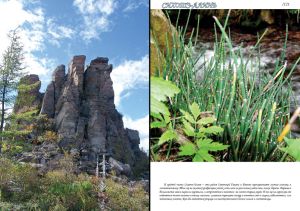 Нажмите, чтобы увеличить