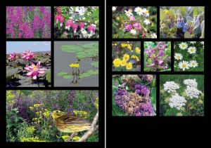 Нажмите, чтобы увеличить