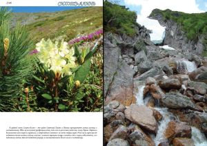 Нажмите, чтобы увеличить