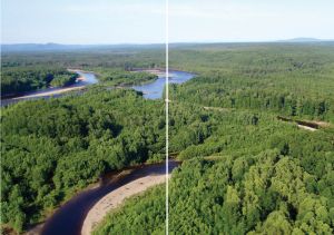 Нажмите, чтобы увеличить