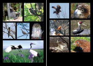 Нажмите, чтобы увеличить