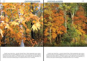 Нажмите, чтобы увеличить