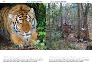 Нажмите, чтобы увеличить