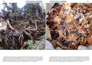 Нажмите, чтобы увеличить