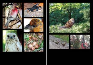 Нажмите, чтобы увеличить