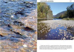 Нажмите, чтобы увеличить