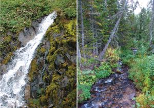 Нажмите, чтобы увеличить