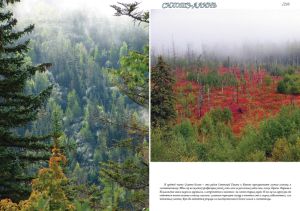 Нажмите, чтобы увеличить