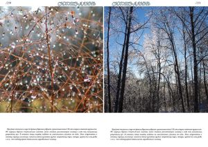 Нажмите, чтобы увеличить