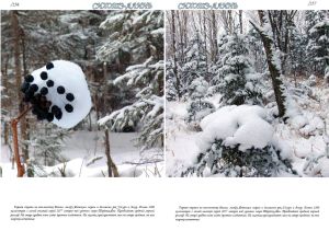 Нажмите, чтобы увеличить