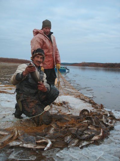 Улов замета неводом.