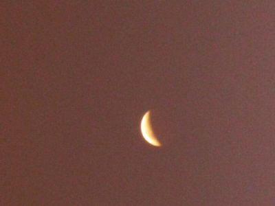 Затмение Луны в Хабаровске.Окончание 19.17 хбр. Обстановка: переменная облачность, небольшой снег, -24 С. Заход Солнца в 17.06/ Нажмите, чтобы УВЕЛИЧИТЬ. Фото: Дебри-ДВ (нажмите, чтобы увеличить)