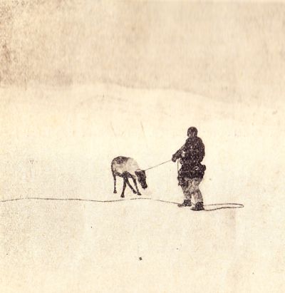 Чукча с молодым оленем. стр. 69.