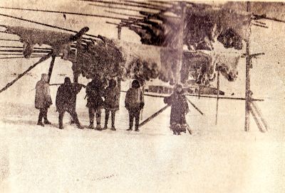 Шкуры белых медведей бр. Карасевых на мысе Дежнева. стр. 70.