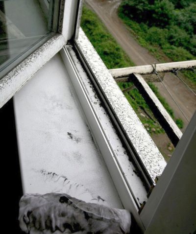 Подоконники нужно мыть дважды в день