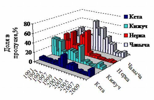 Рис. 2. Динамика численности производителей тихоокеанских лососей нерестившихся в бассейне р. Большая в период 1991-2010 гг.