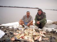 Нажмите, чтобы увеличить