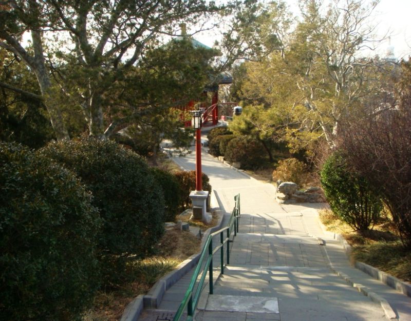 Глядя на этот уголок Пейзажной горы трудно предположить, что это снято 1 января 2012 года и всего несколько дней назад выпало немного снега