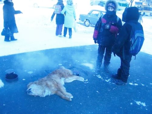 Комсомольск-на-Амуре