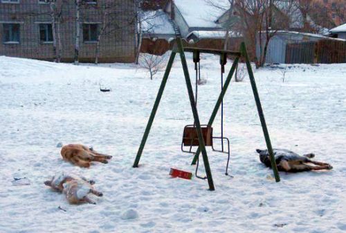 Комсомольск-на-Амуре