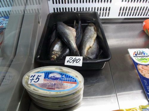 Сельдь Тихоокеанская, Олюторская соленая - 240 рублей за кг